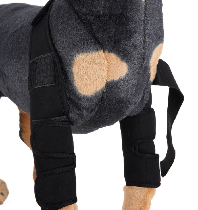 Hunde Bandage