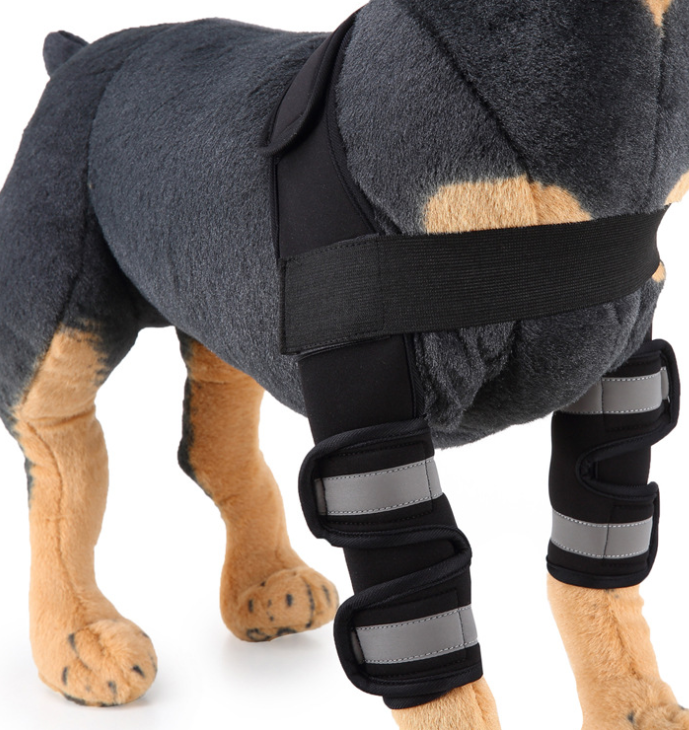 Hunde Bandage