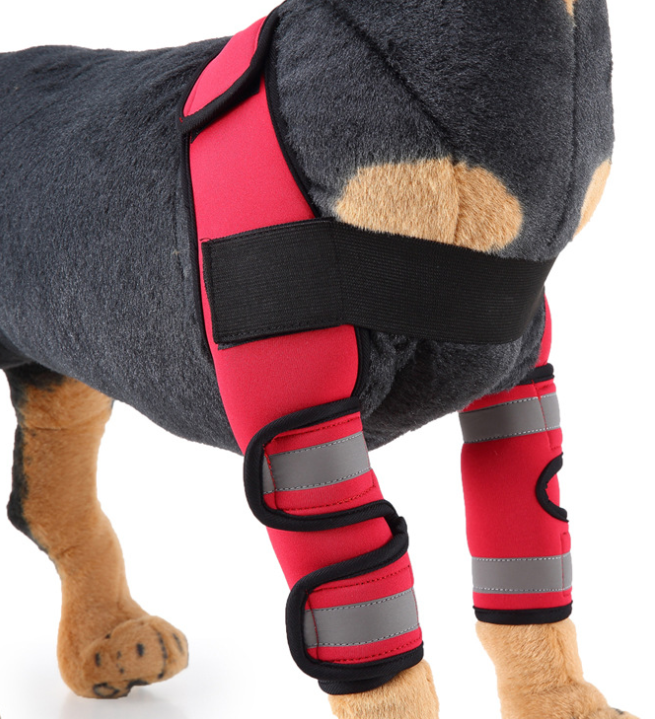 Hunde Bandage