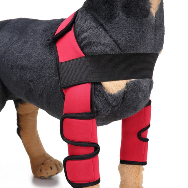 Hunde Bandage