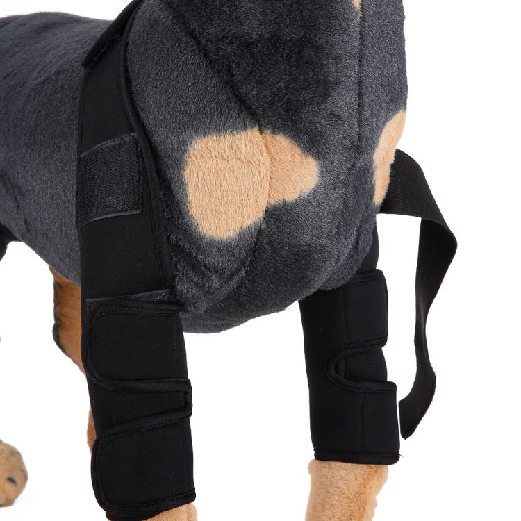 Hunde Bandage