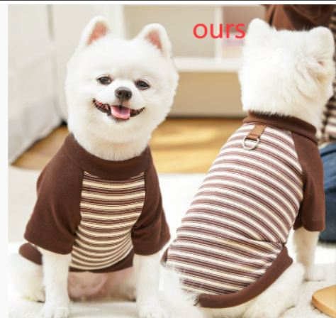 Leichte Sommerkleidung für kleine Hunde