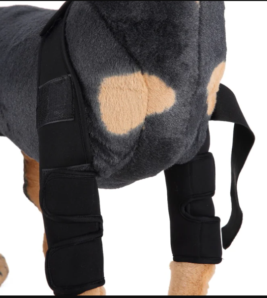 Hunde Bandage