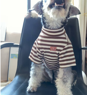 Leichte Sommerkleidung für kleine Hunde