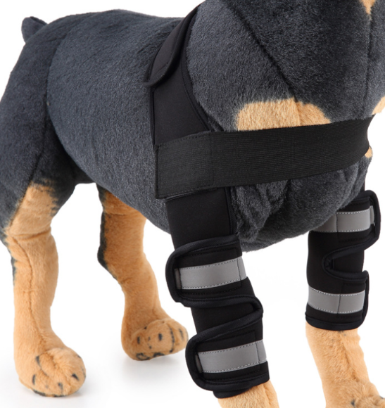 Hunde Bandage